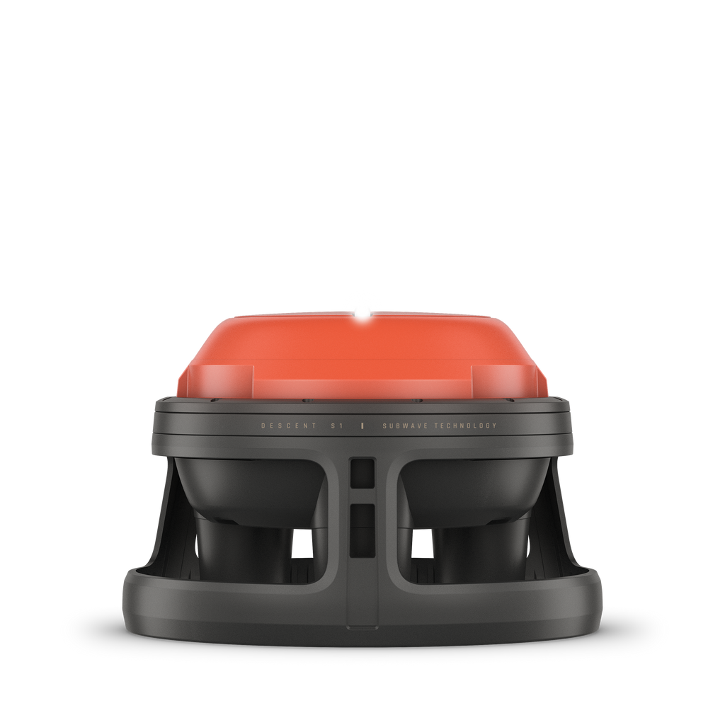 Garmin Boya Descent S1