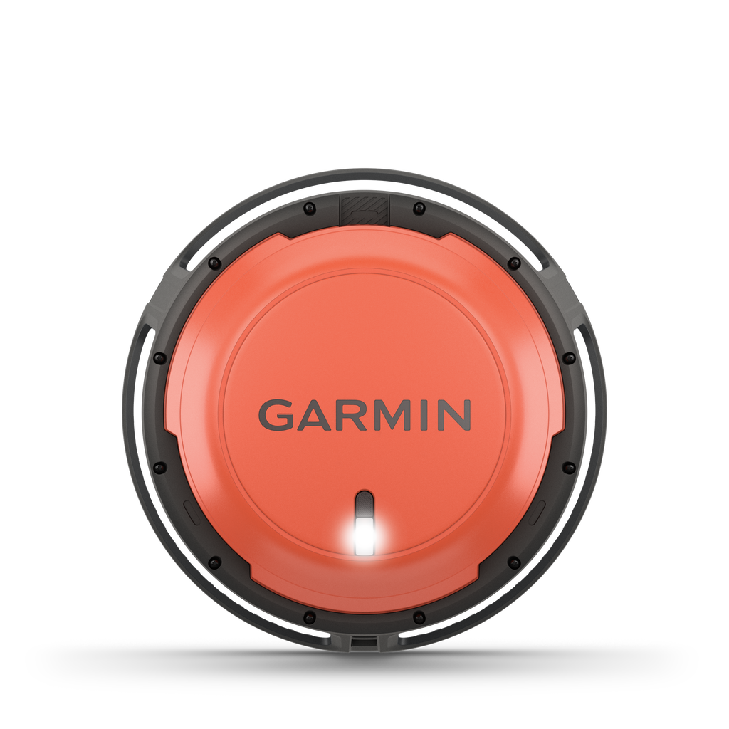 Garmin Boya Descent S1