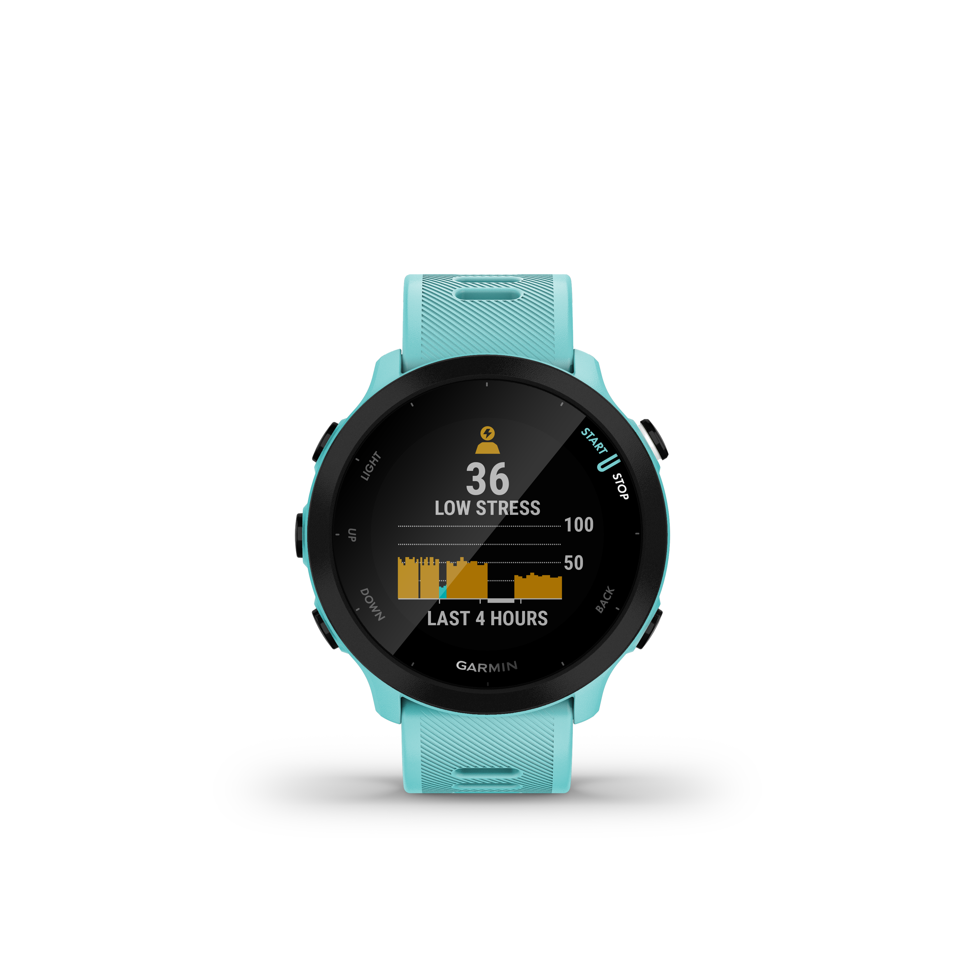 Garmin Forerunner 55 Aguamarina