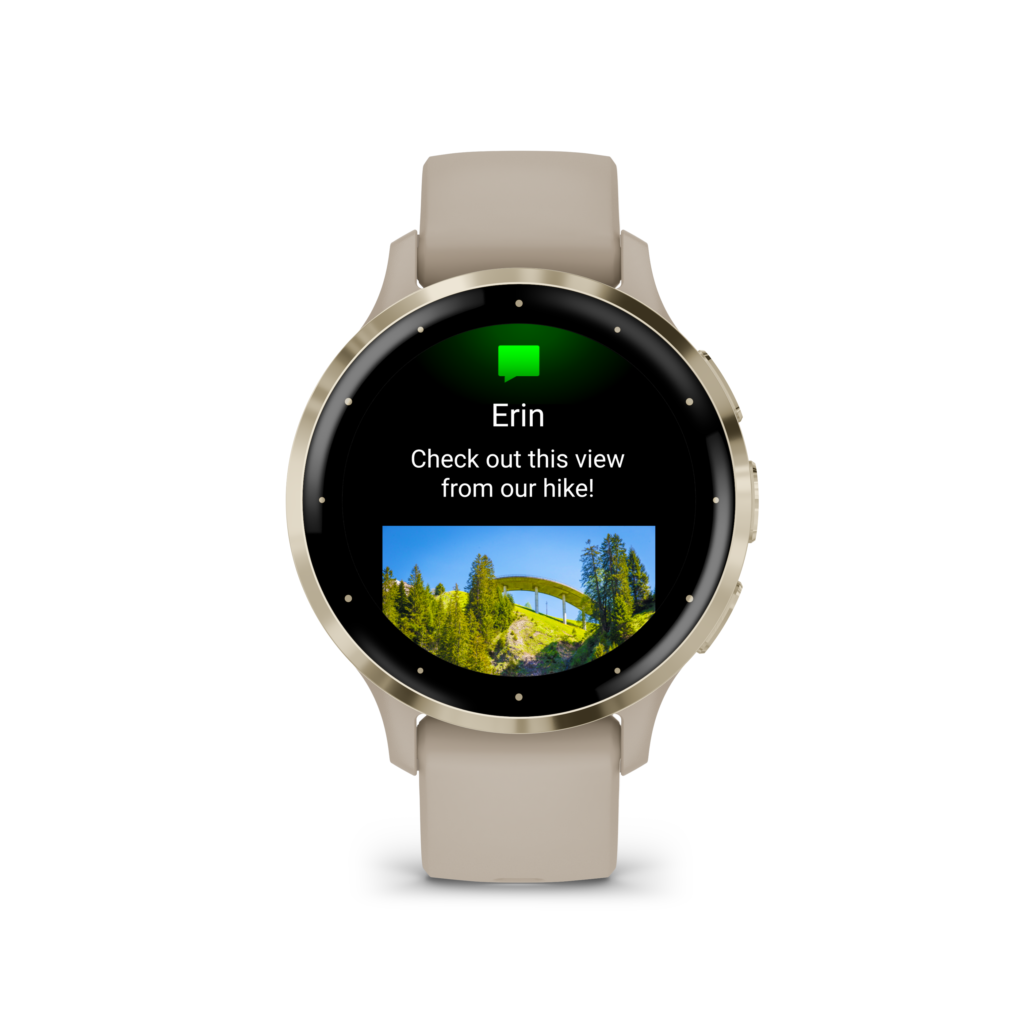 Garmin Venu 3S Gris Francés con Visel Dorado